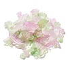 Imitation Jelly Acrylic Beads OACR-H039-02E-1