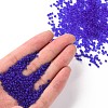 (Repacking Service Available) Glass Seed Beads SEED-C017-2mm-M8-4