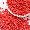 6/0 Glass Seed Beads X-SEED-J014-F6-45-1