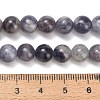 Natural Iolite Beads Strands G-G300-A04-8mm-5