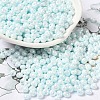 6/0 Glass Seed Beads X1-SEED-M012-01A-13-1
