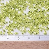 MIYUKI Delica Beads Small SEED-X0054-DBS0147-4