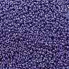 MIYUKI Round Rocailles Beads SEED-G008-RR0432-3