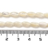 Natural Trochid Shell/Trochus Shell Beads Strands PBB513Y-2