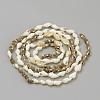 Natural Sea Shell Beads Strands X-SSHEL-R043-05-2