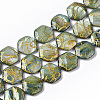 Drawbench Freshwater Shell Beads Strands X-SHEL-T014-013E-1