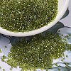 MIYUKI Delica Beads X-SEED-J020-DB2377-1