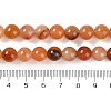 Natural Red Bloodstone Beads Strands G-P530-B01-03-5