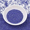 MIYUKI Delica Beads X-SEED-J020-DB1578-2