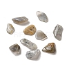 Natural Labradorite Beads G-O103-33-2