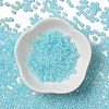 Glass Seed Beads SEED-H002-E-A1411-2