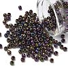 TOHO 6/0 Round Beads SEED-TR06-0085-1
