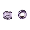 TOHO 8/0 Round Beads SEED-XTR08-2219-4