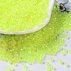 Glass Seed Beads SEED-S042-13A-04-1