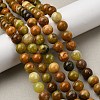 Natural Green Opal Beads Strands G-K245-A17-A05-01-5