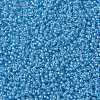 MIYUKI Round Rocailles Beads SEED-X0055-RR0221-3