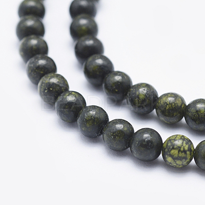 Natural Serpentine/Green Lace Stone Beads Strands G-P345-01-10mm-1