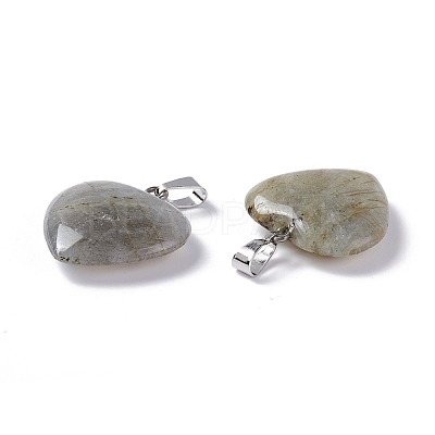 Natural Labradorite Pendants G-G956-B24-FF-1