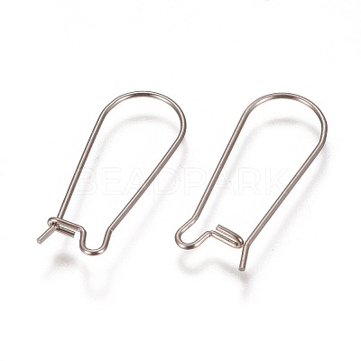 Tarnish Resistant 304 Stainless Steel Hoop Earrings Findings Kidney Ear Wires LS-STAS-L216-22B-P-1