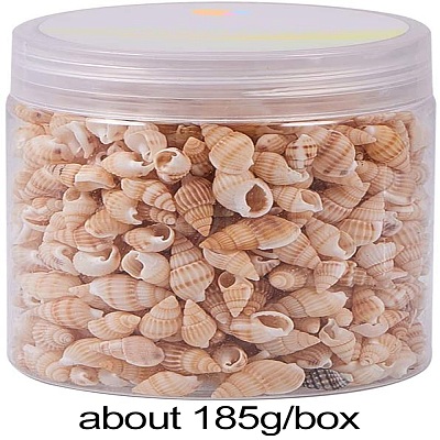 Natural Spiral Shell Beads SSHEL-PH0002-10-1