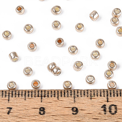 8/0 Glass Seed Beads SEED-A017-3mm-1107-1