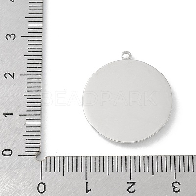 304 Stainless Steel Rhinestone Pendants STAS-Z122-53P-1