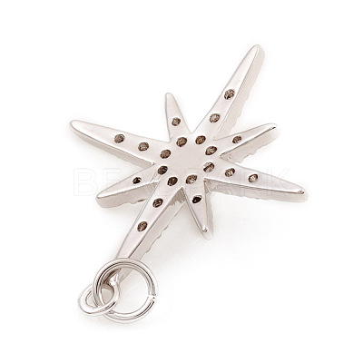 Brass Micro Pave Cubic Zirconia Charms ZIRC-G169-06P-1