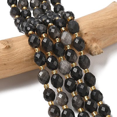 Natural Silver Sheen Obsidian Beads Strands G-F809-A28-01-1