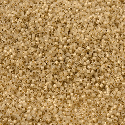 MIYUKI Delica Beads X-SEED-J020-DB0230-1