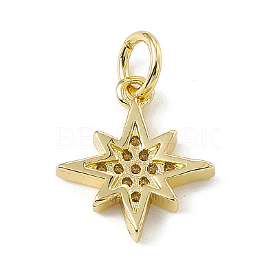 Brass Micro Pave Cubic Zirconia Charms ZIRC-F132-02G-1