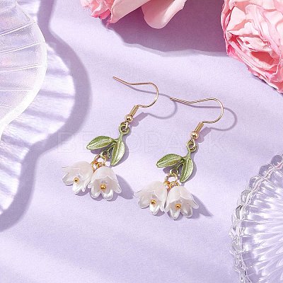 Acrylic Dangle Earrings EJEW-JE06145-1