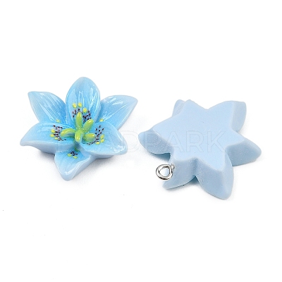Opaque Resin Pendants CRES-D328-04C-1