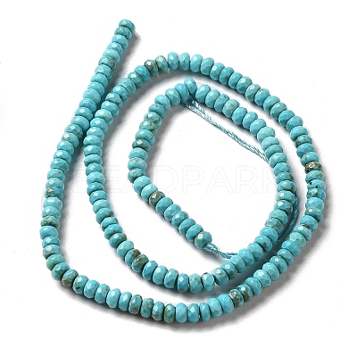 Natural Howlite Beads Strands G-C025-10B-1