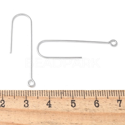316 Surgical Stainless Steel Earring Hooks STAS-Z124-02A-P-1