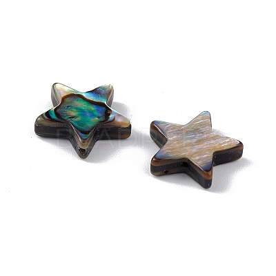 Natural Abalone Shell/Paua Shell Beads SSHEL-M021-07-1