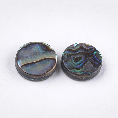 Abalone Shell/Paua Shell Beads SSHEL-T008-06A-1