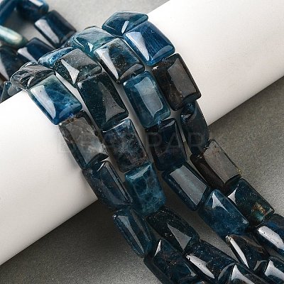 Natural Apatite Beads Strands G-Q026-B01-01-1