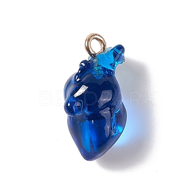 Transparent Resin Pendants RESI-E028-01G-05-1