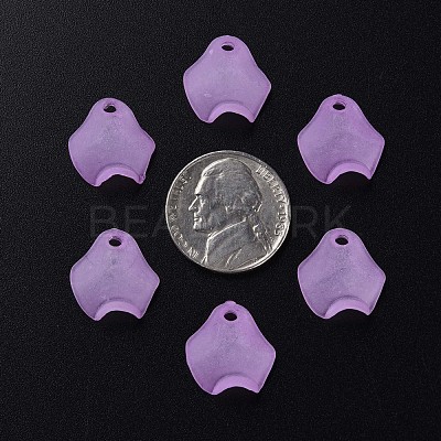 Transparent Acrylic Beads MACR-S373-106-D03-1