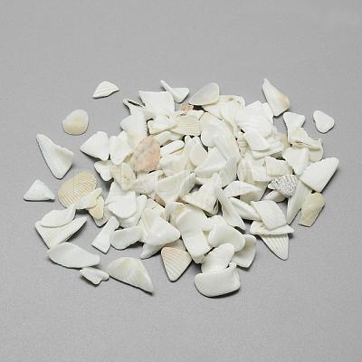 Natural Sea Shell Beads SSHEL-R036-016-1