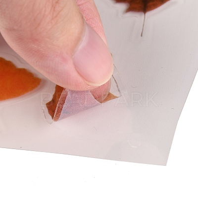 Waterproof Plastic Self Adhesive Stickers DIY-F064-13B-1