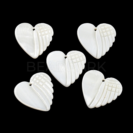 Natural Freshwater Shell Pendants BSHE-G034-17-1
