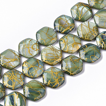 Drawbench Freshwater Shell Beads Strands X-SHEL-T014-013E-1