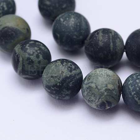 Natural Kambaba Jasper Beads Strands G-D744-10mm-1