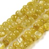 Natural White Shell Dyed Beads Strands BSHE-Z005-03F-1