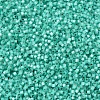 MIYUKI Delica Beads SEED-X0054-DB0627-3