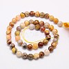 Natural Crazy Lace Agate Beads Strands G-G542-8mm-10-2