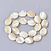 Natural Trochid Shell/Trochus Shell Beads Strands SHEL-T013-006A-01-2