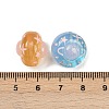 Transparent Resin Beads RESI-L047-04-3
