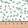 Baking Paint Transparent Glass Seed Beads SEED-N006-05J-4